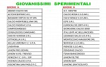 Giovanissimi sperimentali A-B Giovanissimi sperimentali A-B